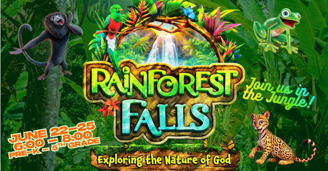 Rainforest Falls VBS