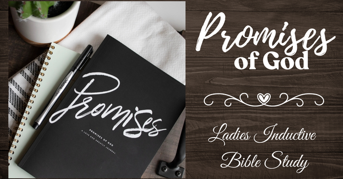 Ladies Bible Study