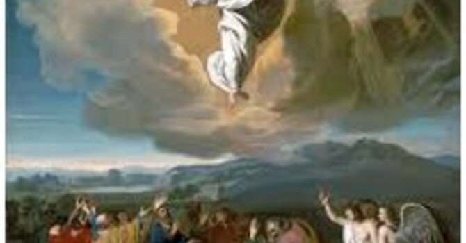 May 17th Bulletin