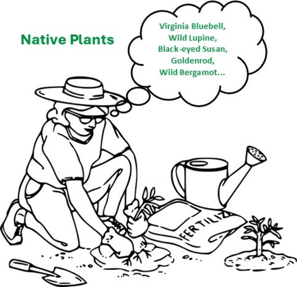 May's Action:  Go Native!