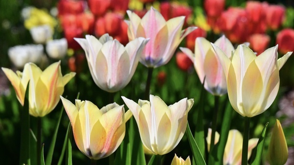 Victoria Day Office Closure