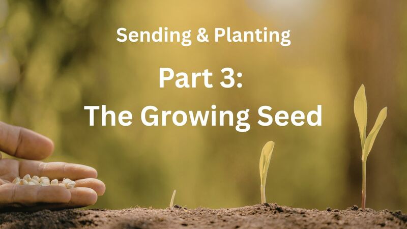 Sending & Planting Part 3: The Growing Seed 