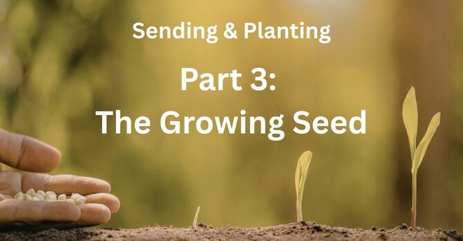 Sending & Planting Part 3: The Growing Seed 