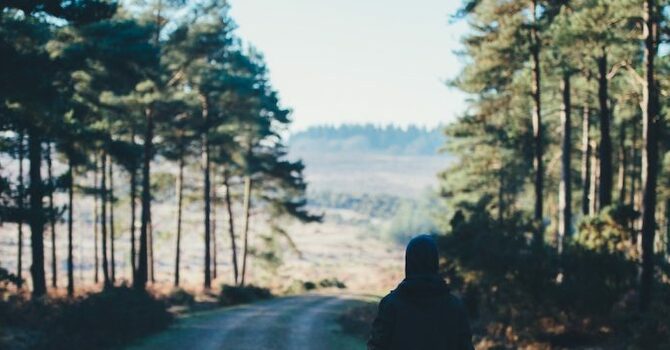 The Bible's Unique View of  Ourselves