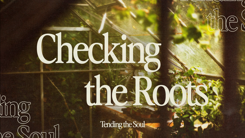 Checking the Roots