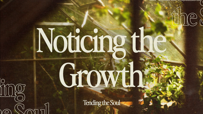 Noticing the Growth