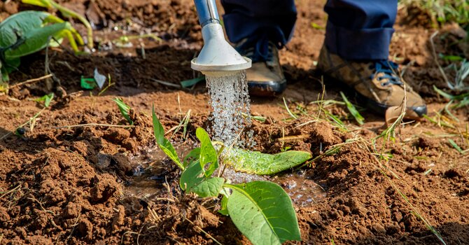 The Work of Water