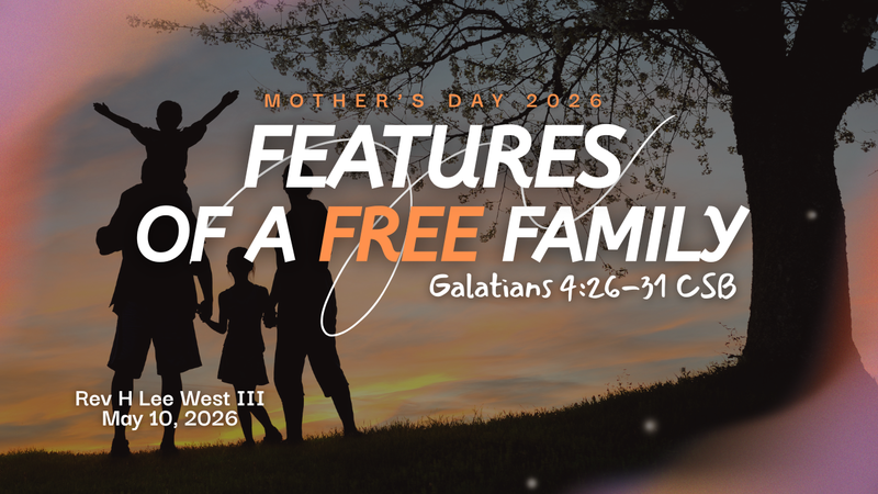 Features of a Free Family