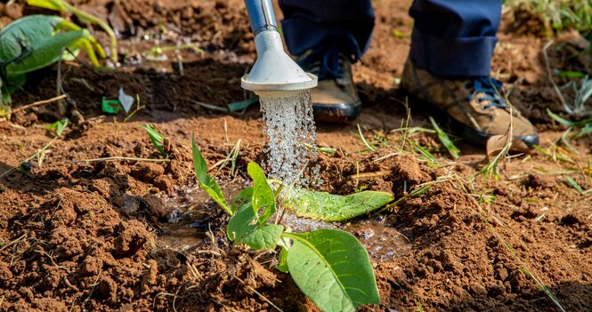 The Work of Water