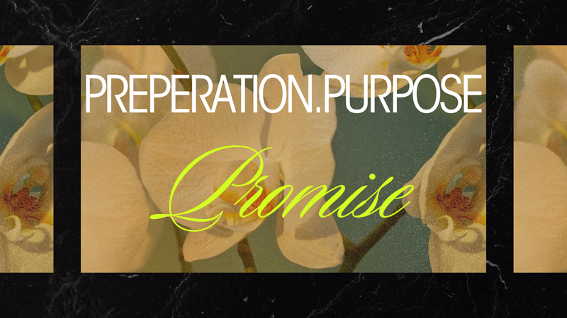 Preparation. Purpose. Promise