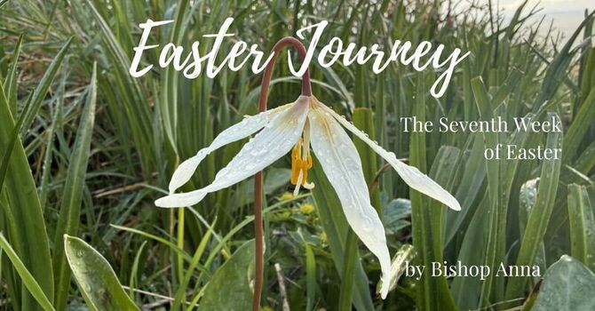 A Message for the Seventh Week of Easter