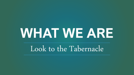 What We Are