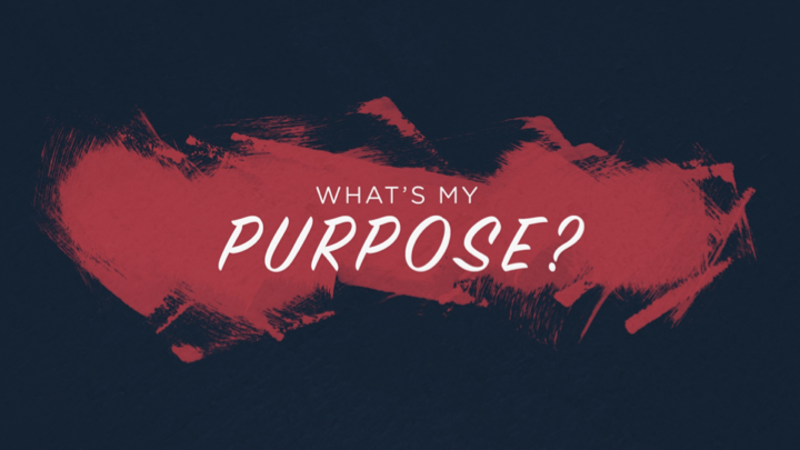 What’s My Purpose?