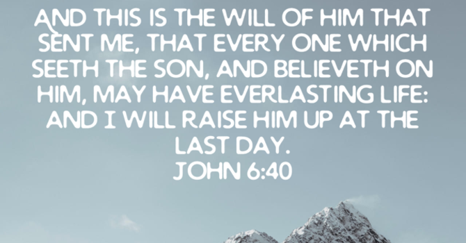 What if you never Missed the Will of God image