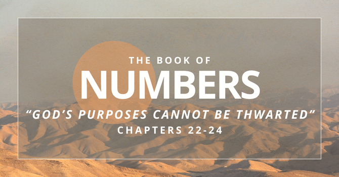 God's Purposes Cannot Be Thwarted