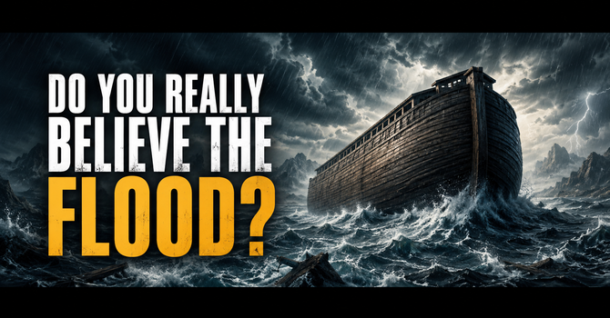 Do You Really Believe The Flood? image
