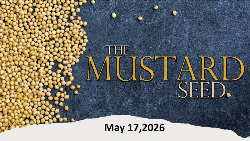 The Mustard Seed