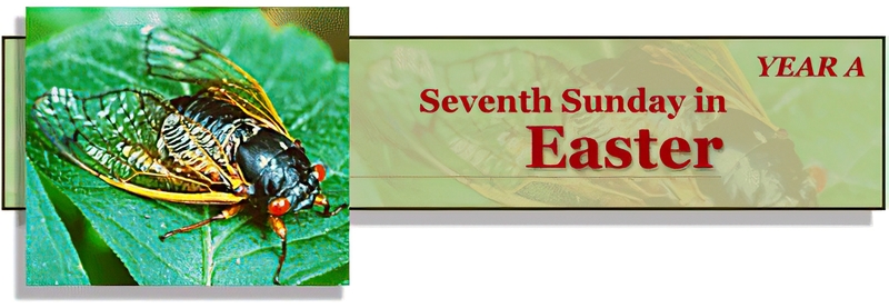 SEVENTH SUNDAYOF EASTER