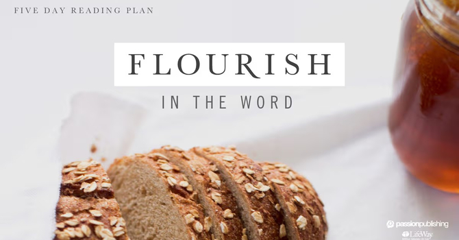 Join us this Week in the Bible YouVersion App