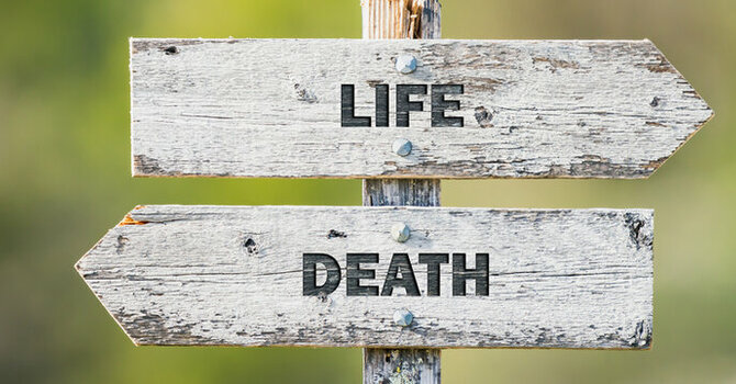 About Life and Death