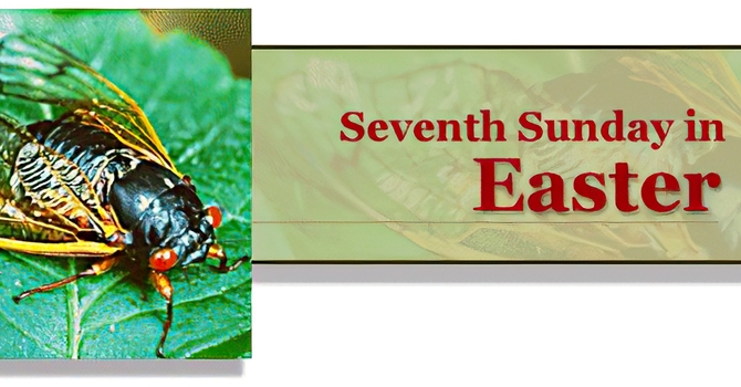 SEVENTH SUNDAYOF EASTER