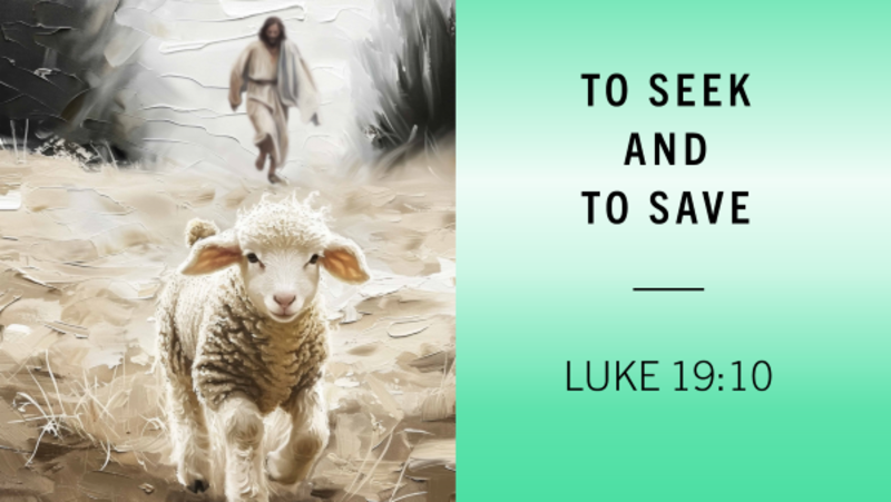 To Seek and To Save