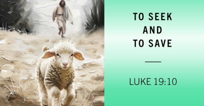 To Seek and To Save