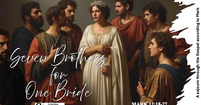Seven Brothers for One Bride