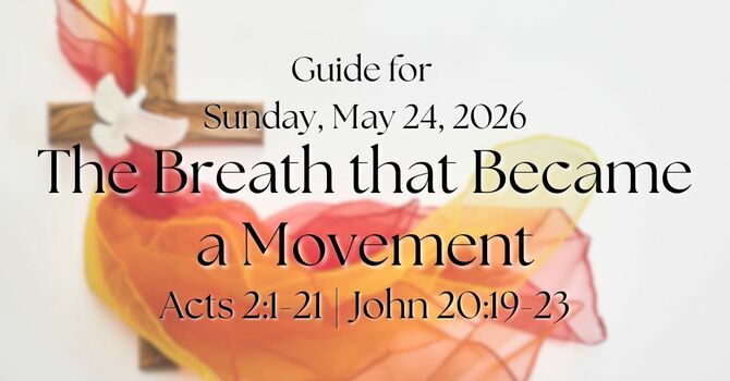 Guide for Sunday, May 24, 2026