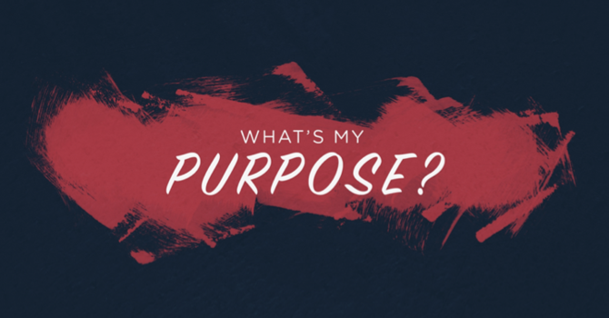 What’s My Purpose?