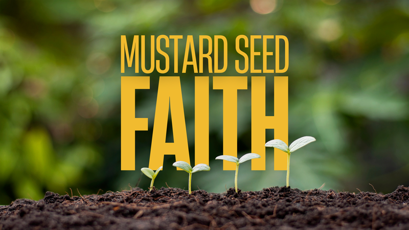 Mustard Seed Faith