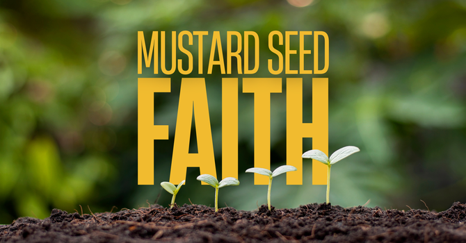 Mustard Seed Faith