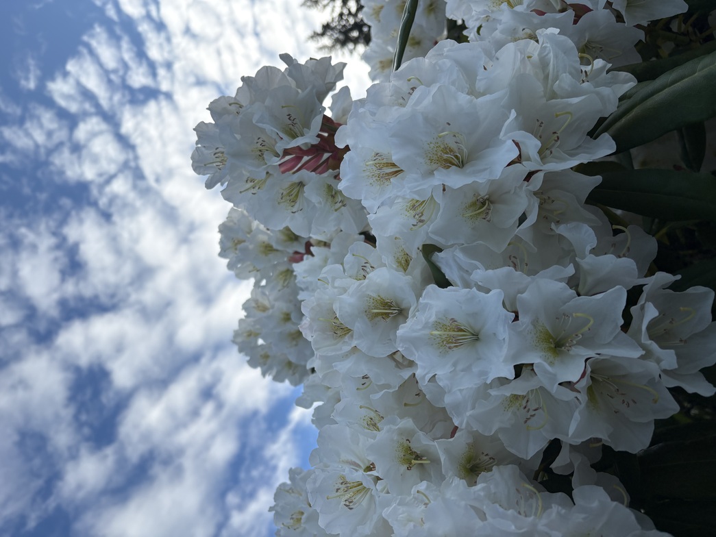 Slideshow image