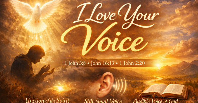 I Love Your Voice