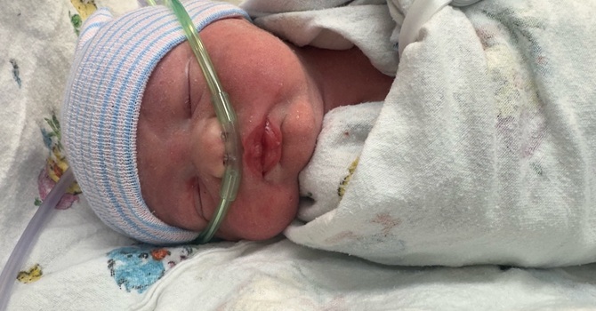 Liam Tate Schoeff is here! image