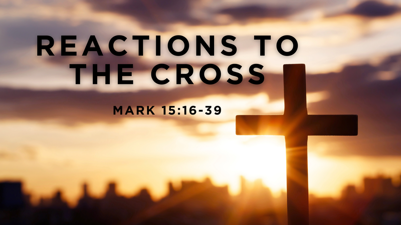 Reactions to the Cross