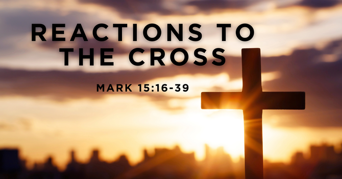 Reactions to the Cross
