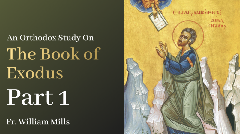 Exodus: Part 1