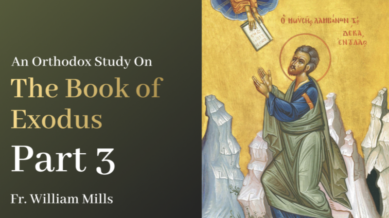 Exodus: Part 3