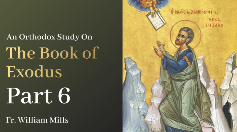 Exodus: Part 6