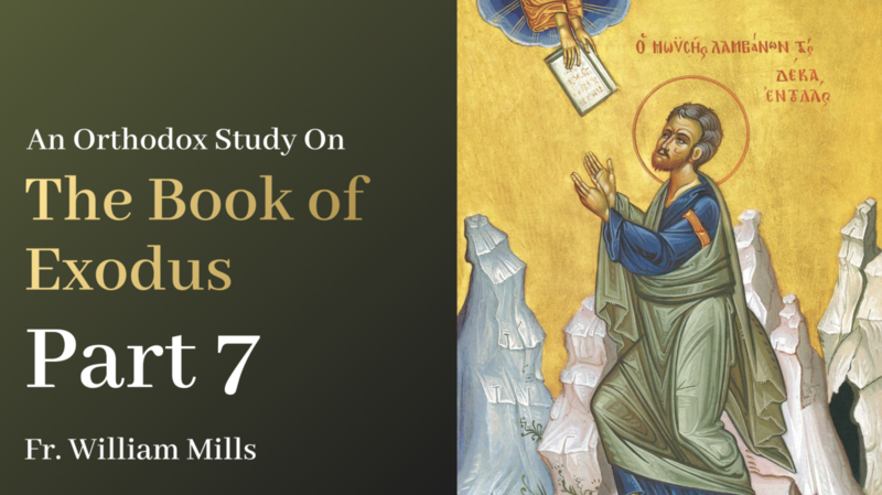 Exodus: Part 7