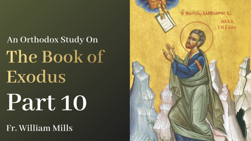 Exodus: Part 10