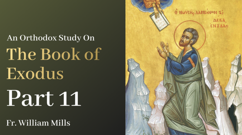 Exodus: Part 11