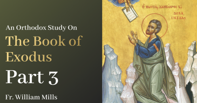 Exodus: Part 3