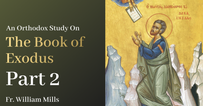 Exodus: Part 2