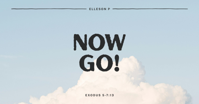 Now Go 