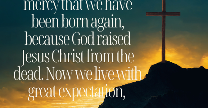 Living Hope in His Presence image