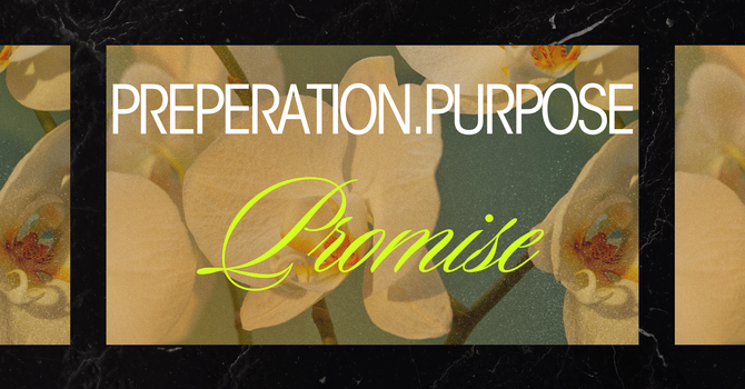 Preparation. Purpose. Promise