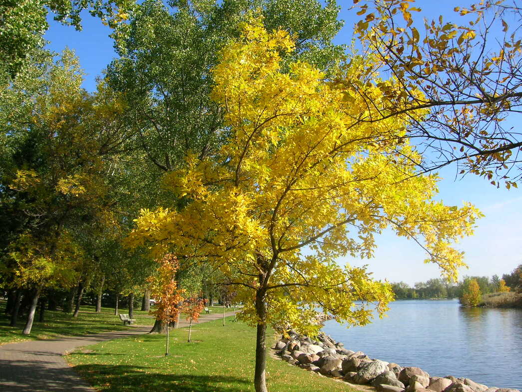 Slideshow image