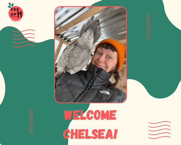 Welcome, Chelsea!